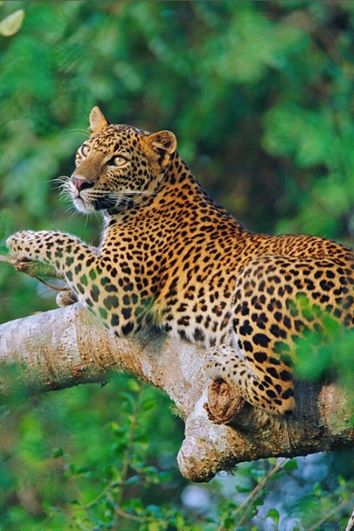 Sunset in the mountains